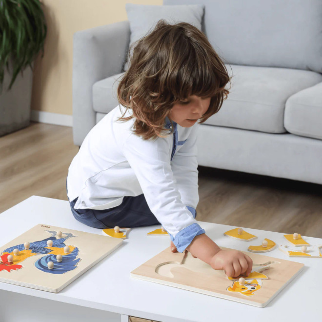 Montessori Peg Puzzle - 1