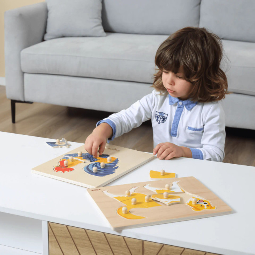 Montessori Peg Puzzle - 2