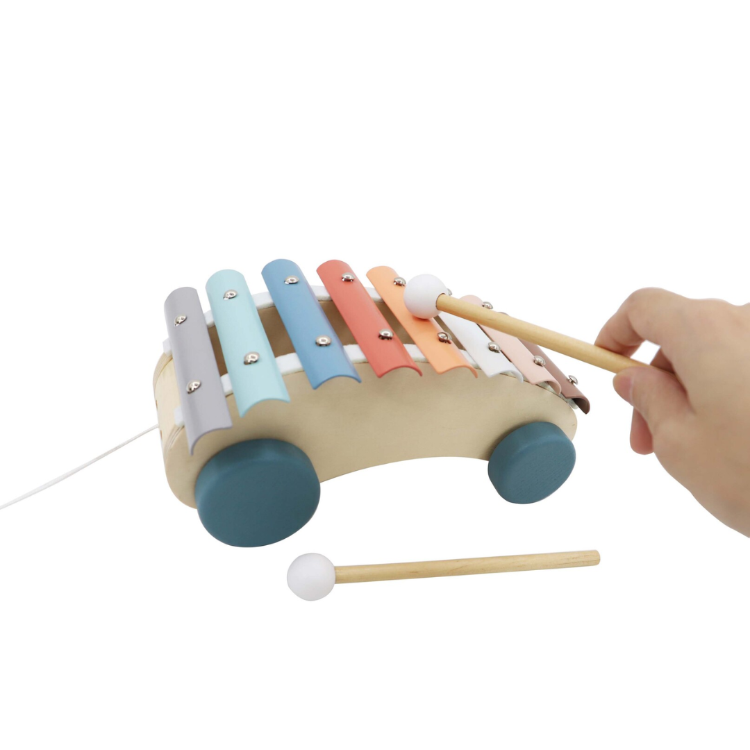 Pastel Wooden Pull-Along Xylophone - 2