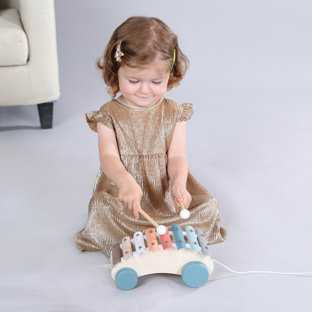 Pastel Wooden Pull-Along Xylophone - 5