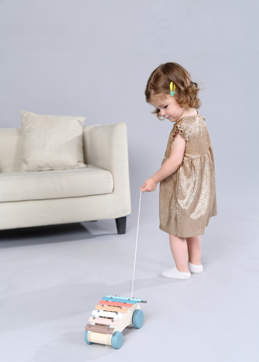 Pastel Wooden Pull-Along Xylophone - 6