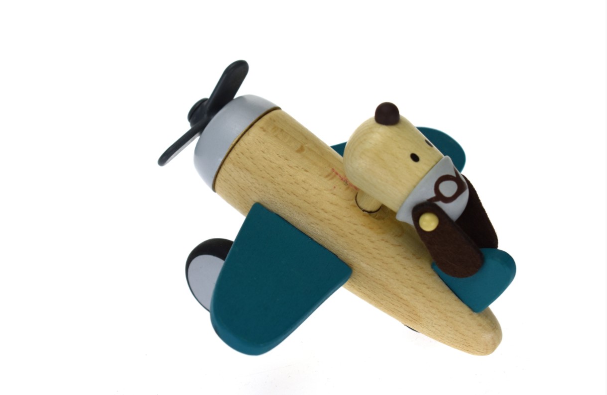 Retro-aeroplane-with-dog-green4