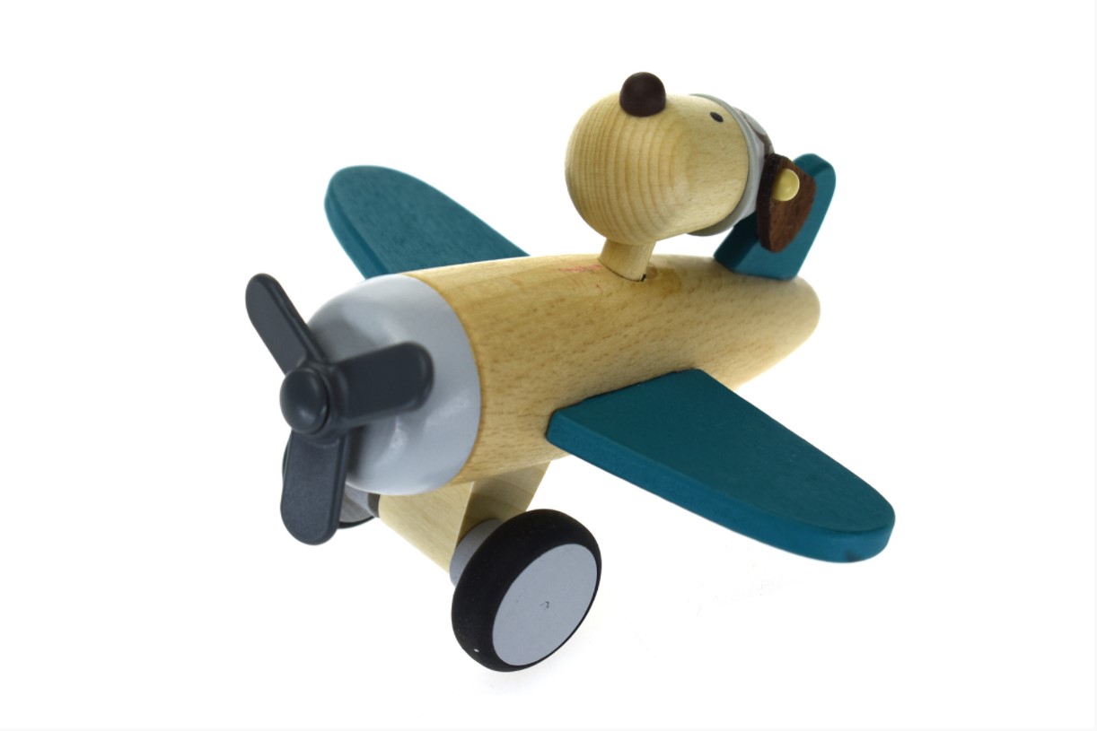 Retro-aeroplane-with-dog-green5