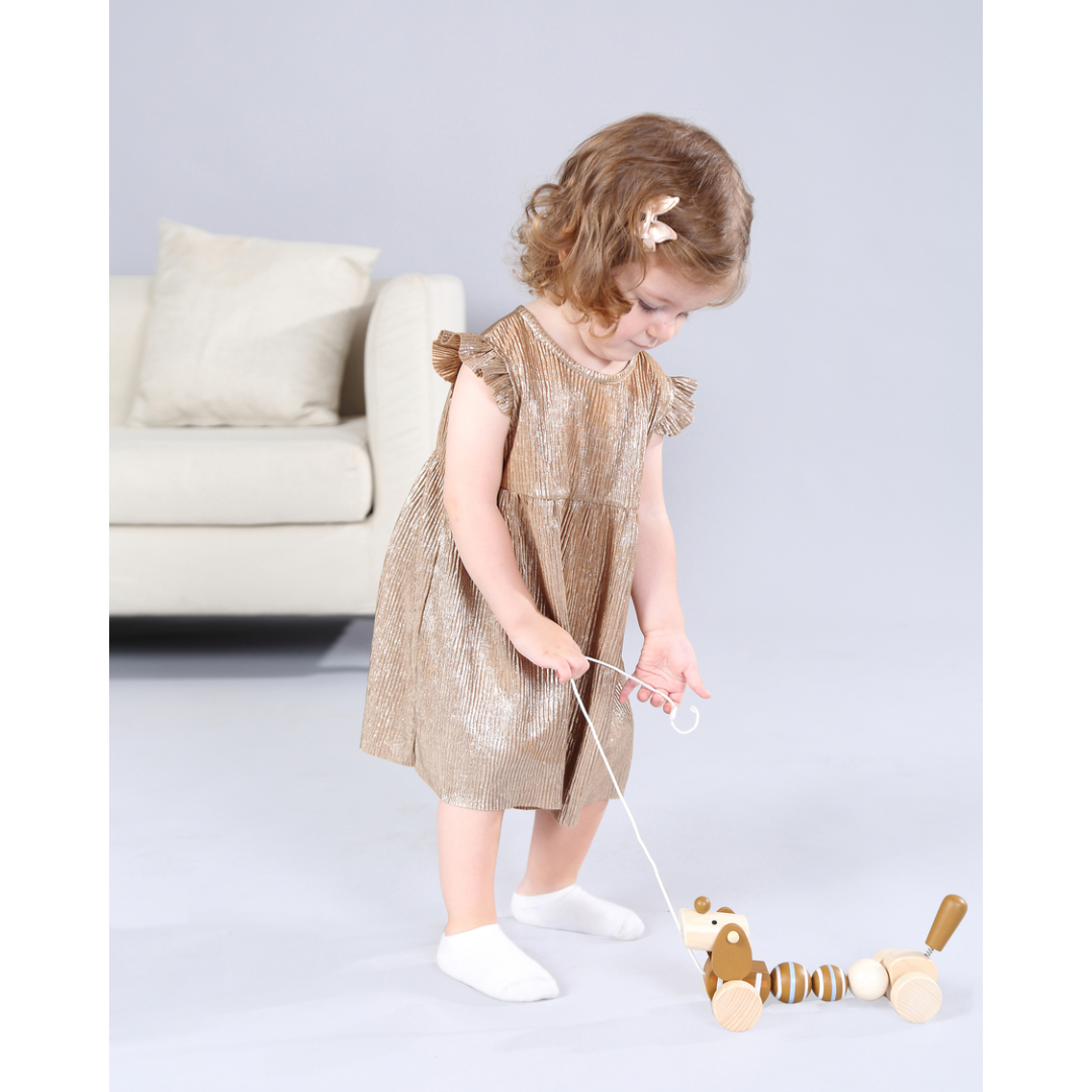 Wooden Pull Along Sausage Dog (2)