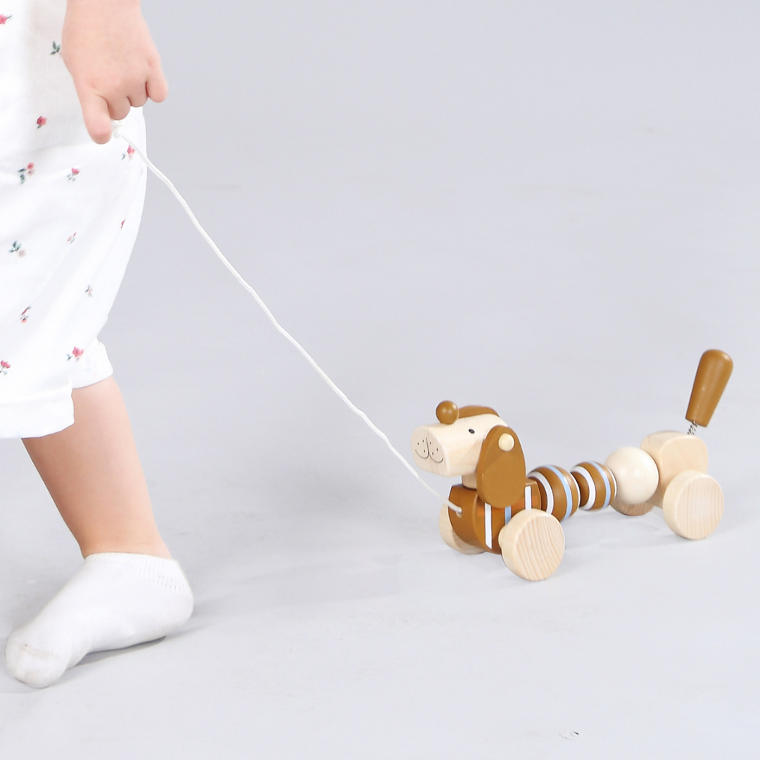 Wooden Pull Along Sausage Dog (4)